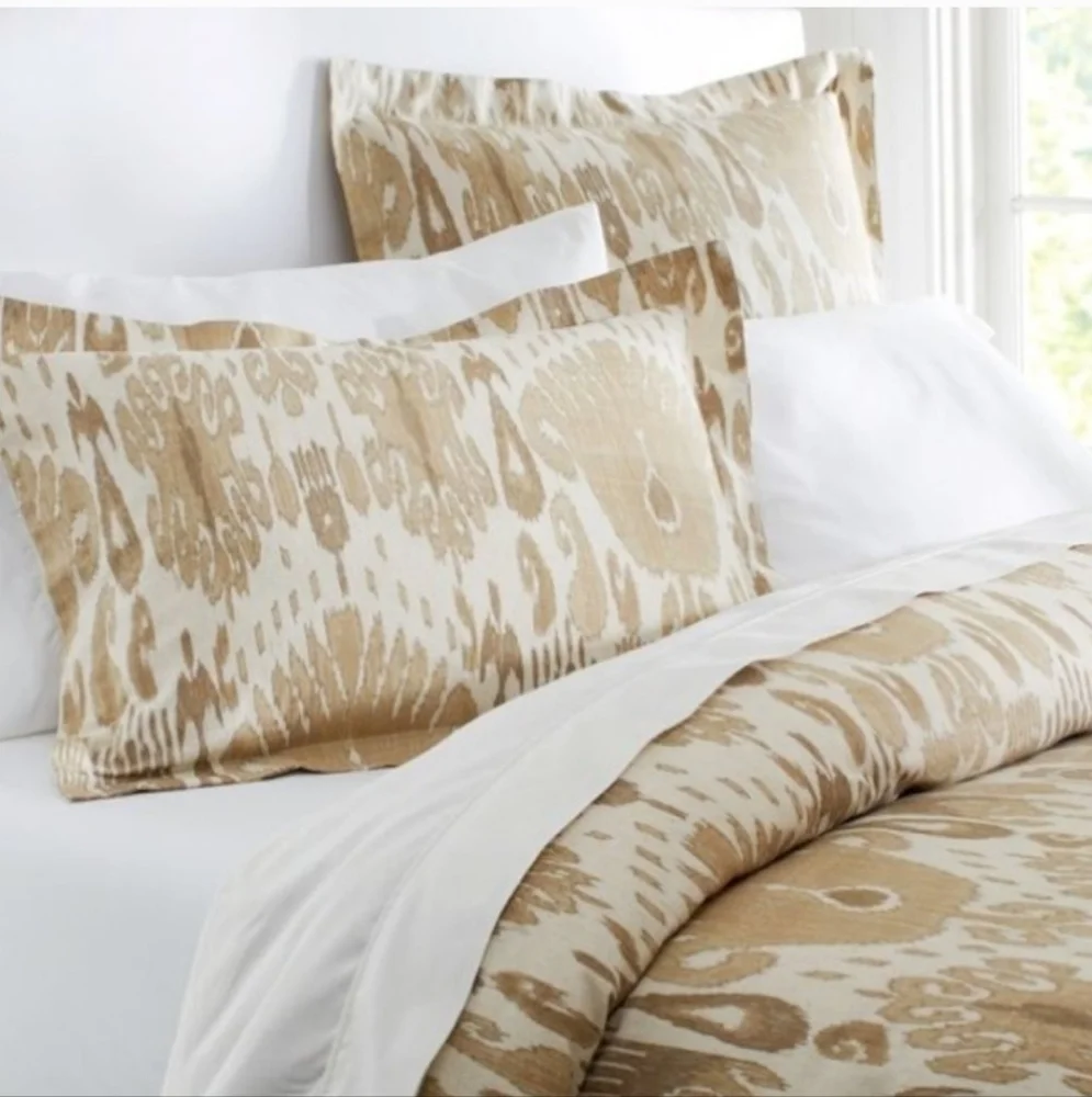 Pottery Barn Vivian Ikat Pillow Shams (2) Standard